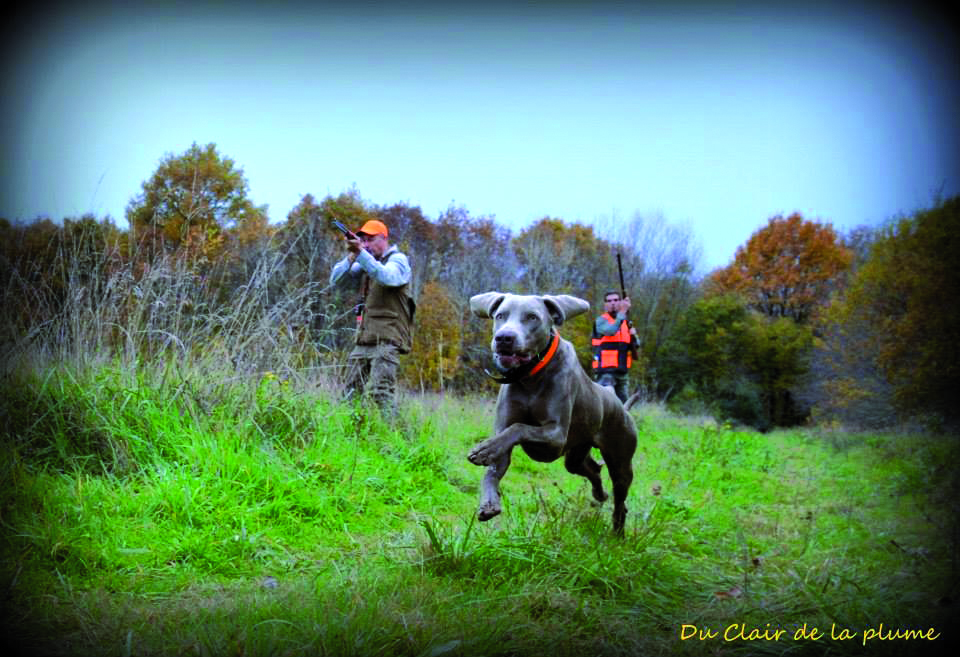 Catégorie « Chasseurs et scènes de chasse »